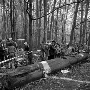 Verein für Leibesübungen (VfL) Oldesloe von 1862 e.V.: Stadtforst Kneeden: 2. Nationaler Kneeden-Cross: Teilnehmer