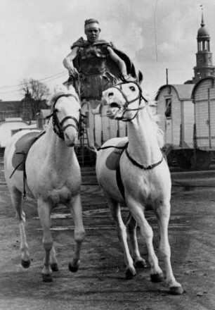 Hamburg. St. Pauli. 1948. Ein Wanderzirkus gastiert auf dem Heiligengeistfeld. Ein Artist trainiert mit mit seinen Pferden "Ungarische Post"