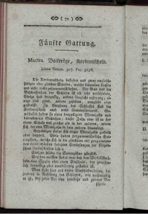 Fünfte Gattung. MACTRA. bis siebente Gattung VENUS.