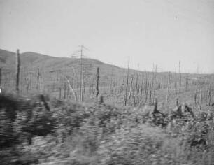Bahnstrecke zwischen Toyohara (heute Juschno-Sachalinsk) und Maoka (heute Cholmsk) : Landschaft mit verkohltem Wald