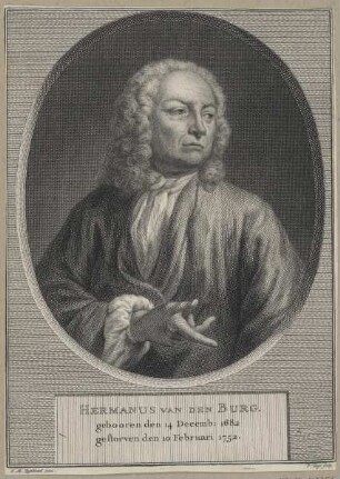 Bildnis des Hermanus van den Burg
