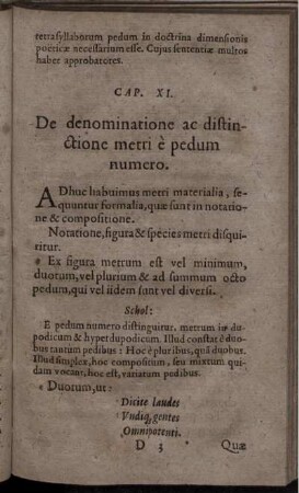 Cap. XI. De denominatione ac distinctione metri e pedum numero