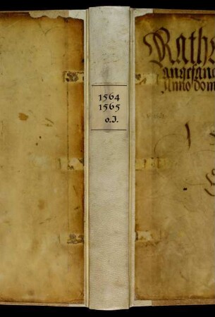 Ratsprotokolle, 1564 Aug. 3. - 1565 Juli 29.