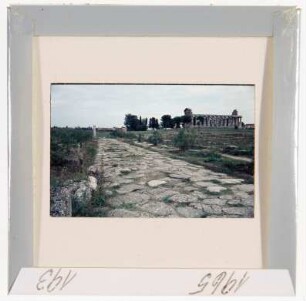 Paestum: Heilige Straße und Athenatempel (Foto 1965)