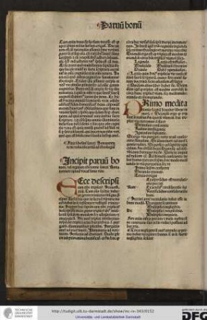 Incipit parvum bonum vel regimen conscientie sancti Bonaventure quod vocatur fons vite.