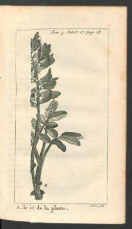 Tafel: A. le Sainfoin commun B. le Sainfon d'Espagne [...]