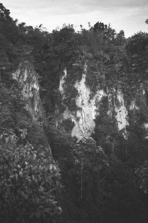 Karbouwetgat-Schlucht : Nahaufnahme der Schlucht