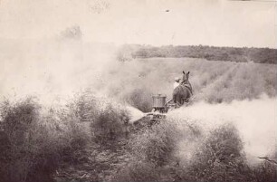 Foto Arbeiter mit Pferd beim Spritzen oder Stäuben