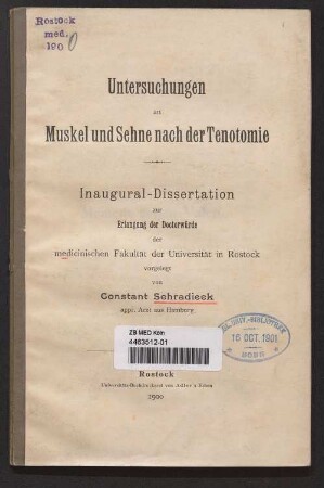 Untersuchungen an Muskel und Sehne nach der Tenotomie