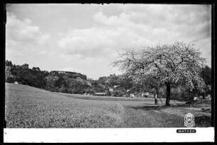 Blick auf Rathen