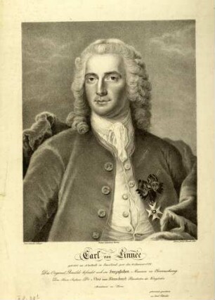 Carl von Linné (Biologe, 1707-1887)