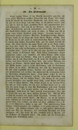 28. Die Fledermaus