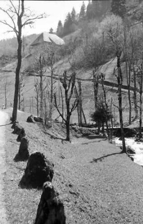 Ränke; St. Peter: Frühlingslandschaft; Vordergrund Chaussesteine