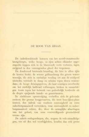 De roos van Rigas