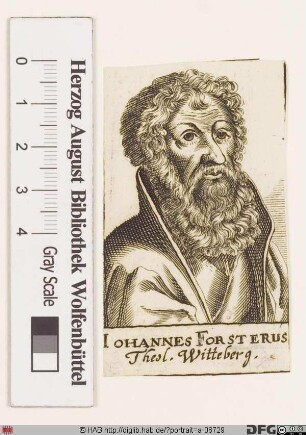 Bildnis Johann Forster (I)