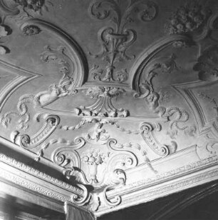 Stuckdecke mit Tritonen-Kindern : Neustadt-Glewe, Neues Schloss. Stuckdecke mit Tritonen-Kindern