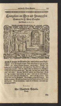 Evangelium am Drey und Zwantzigsten Sonntag nach der H. Drey-Einigkeit. ...