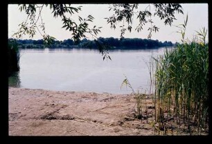 Fahrlander See 25.7.83.