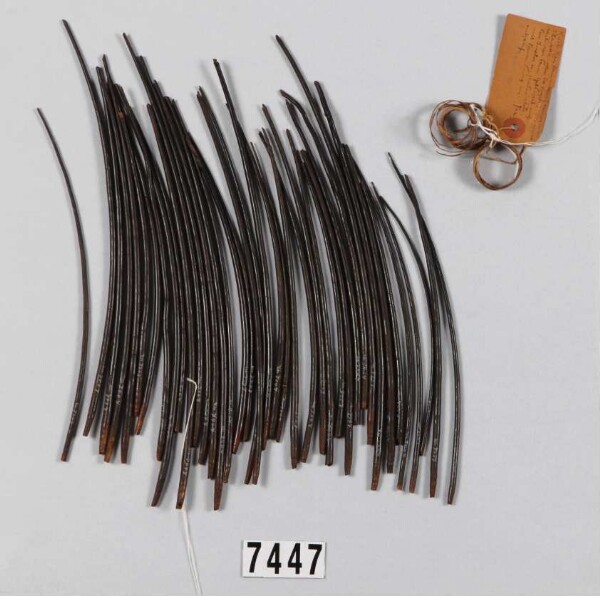 Casuar quills (as monetary value)