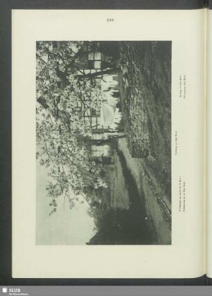 Frühling an der Ruhr