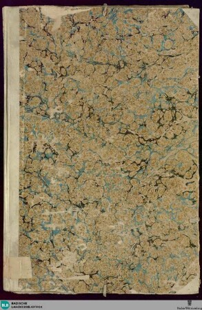 Abschrift der Kleinen Heidelberger Liederhandschrift A - Cod. Donaueschingen 67