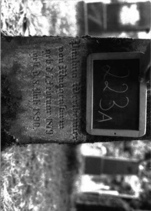 Grabstein 223A