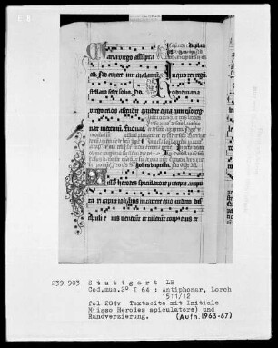 Antiphonarium (Benediktinerhandschrift) — Initiale M (isso Herodes spicolatore) mit einem Pfau am Rand, Folio 284verso