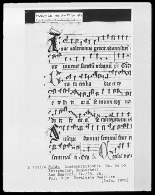 Anitiphonar, Sommerteil — Initiale I mit Gesicht, Folio 185 verso
