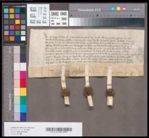 Burchard Runswinkel, Dietrich von Bradebeck und Arnold Alderocge, genannt Korngin, schwören Herzog Wilhelm von Berg Urfehde.