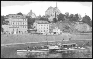 Meißen. Bl.z.Ratsweinberg-Elbe m. Dampfer Saxonia