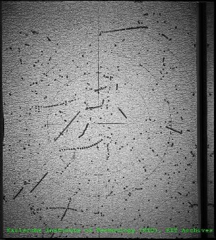 Aufnahme aus der Neutronen-Dosimetrie in der Abteilung Strahlenschutz und Sicherheit (ASS)