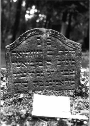 Grabstein 175 (Index: 99803214) Material: Sandstein Zustand: eingesunken, leicht verwitt/Textverlust Maße HxBxT: 43x41x9 cm Beschreibung: Stele mit Karniesbogen und profiliertem Rand: Grabstein 175