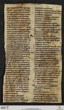 Liber Glossarum