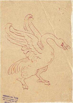 Klenze, Leo von; Skizzen von Tieren und Fabelwesen - Vogel (Ansicht)