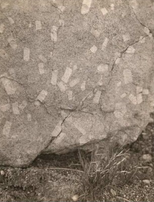 Grobkörniger Granit (porphyrartig)