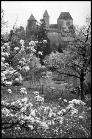 Burgdorf: Schloss mit Blütenbaum im Vordergrund