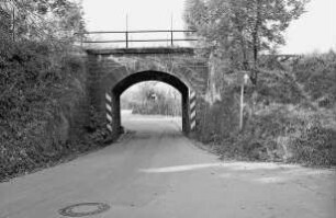 Eisenbahnbrücke (Brückenanlage); Reinheim, Die alten Wiesen