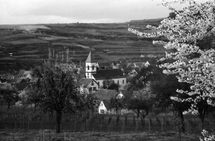 Achkarren: Kirchturm zwischen Blüten
