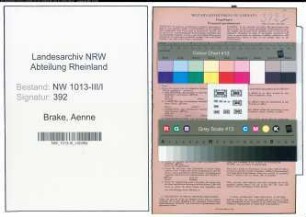 Entnazifizierung Aenne Brake , geb. 26.05.1894 (Kaufmaennische Angestellte)