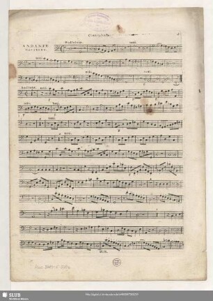 Contrabasso