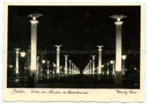 Unter den Linden bei Nacht