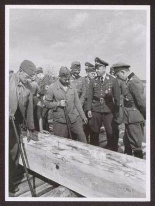 Todt, Fritz