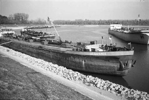Niedrigwasser des Rheins
