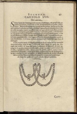 Capitolo XVII.