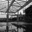 Schell Baumarkt: Industriestraße: in Bau: Richtfest: hinten Halle im Rohbau: auf Dachstuhl Handwerker beim Aufstellen der Richtkrone: davor Richtgäste: rechts Gebäude im Rohbau mit Gerüst: auf Hof Baukran, Bauschuppen, Baumaterialien: vorne Trägerkonstruktion einer Lagerhalle, große Pfütze