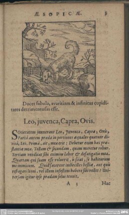 Leo, iuvenca, Capra, Ovis