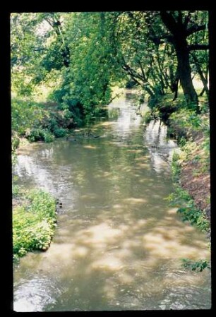 Panke in Pankow 23.6.76.