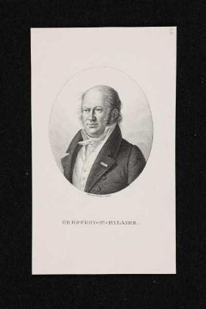 Bildnis des Geoffroy-St.-Hillaire