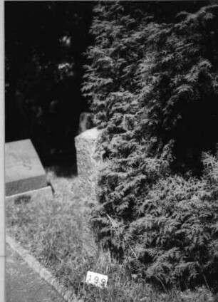 Grabstein 199 (Index: 100085289) Zustand: Schriftplatte entfernt Maße HxBxT: 120x58x30 cm Beschreibung: Stele, Segmentbogenabschluß, Schriftplatte: Grabstein 199