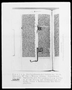 Biblia latina — Initiale A (Rphaxat), darin Enthauptung des Holophernes, Folio 218verso
